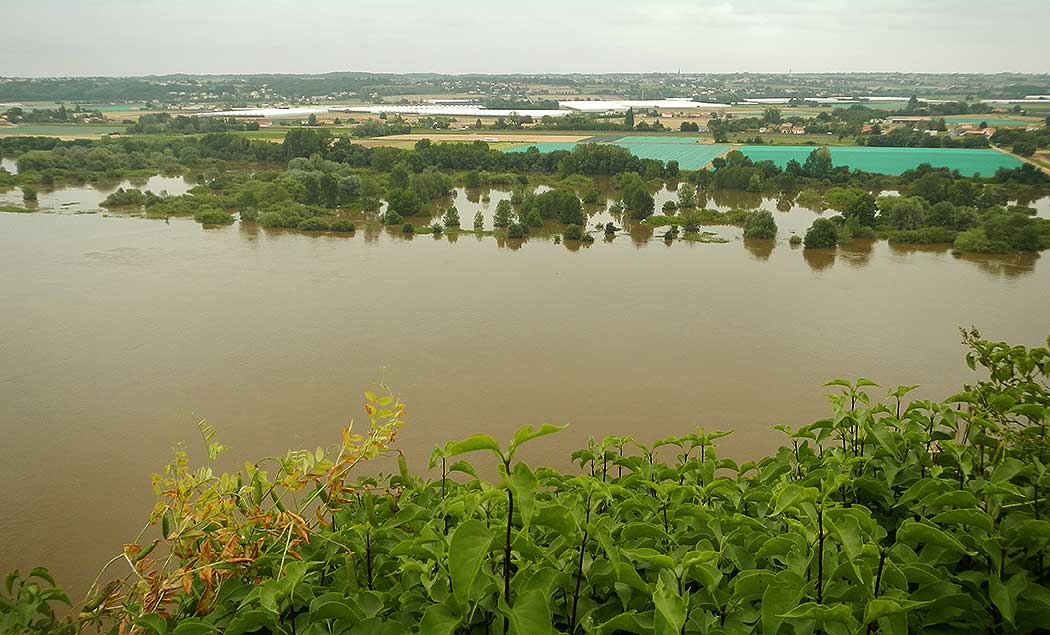 La Loire à la Chapelle-Basse-Mer au loin, près de Nantes